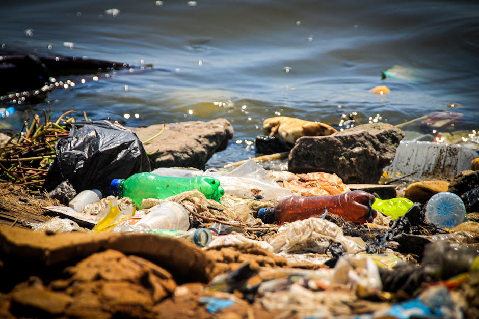Avoid hidden rubbish removal charges in Mitcham