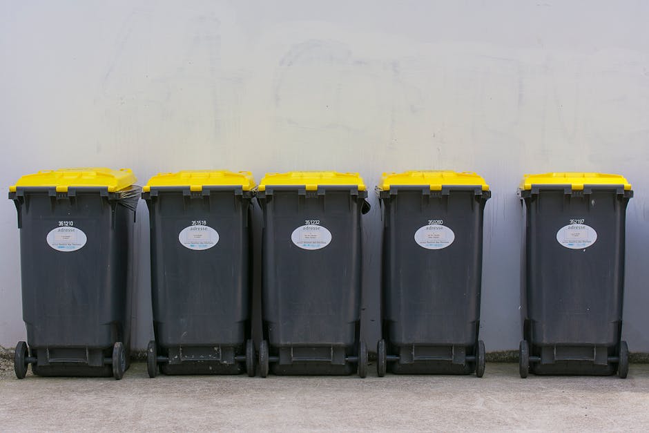 What to know about same day rubbish collection in Mitcham